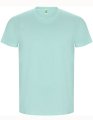 Heren T-shirt Roly Golden Organic Mint